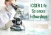 ICGEB Life Sciences Short-Term PhD Fellowships ICGEB Life Sciences Fellowships