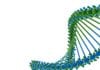 IISER TVM Hiring Biological Sciences Candidates for JRF/Project Assistant Post IISER TVM JRF Job