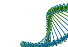 IISER TVM Hiring Biological Sciences Candidates for JRF/Project Assistant Post IISER TVM JRF Job