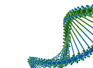 IISER TVM Hiring Biological Sciences Candidates for JRF/Project Assistant Post IISER TVM JRF Job