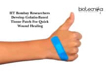 IIT Bombay Researchers Develop Gelatin-Based Tissue Patch For Quick Wound Healing