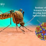 Institute of Life Sciences Scientists Develop Antibodies Against Chikungunya