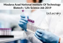 MANIT Bhopal Biotech Job / Life Science Job Openings 2019