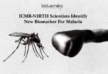 ICMR-NIRTH Scientists Identify New Biomarker For Malaria ICMR-NIRTH Scientists Identify New Biomarker For Malaria