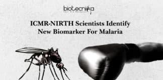 ICMR-NIRTH Scientists Identify New Biomarker For Malaria