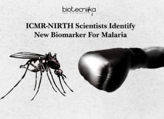 ICMR-NIRTH Scientists Identify New Biomarker For Malaria ICMR-NIRTH Scientists Identify New Biomarker For Malaria