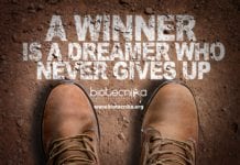 Biotecnika Times – Prime Minister Fellowship, Govt Navodaya Vidyalaya Job + Much More Prime Minister Fellowship