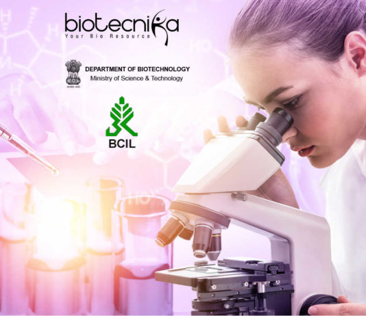BITP 2019