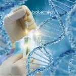 Biological Sciences Research Scholar