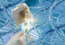 Biological Sciences Research Scholar Post at Presidency University Biological Sciences Research Scholar