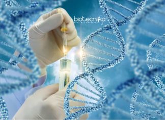 Biological Sciences Research Scholar Post at Presidency University Biological Sciences Research Scholar