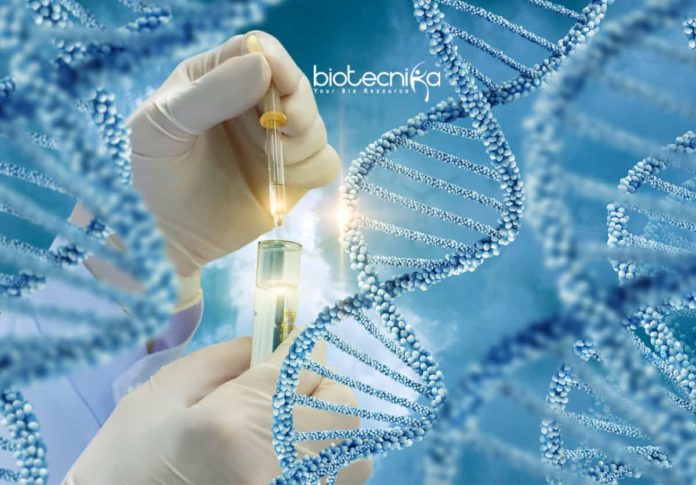 Biological Sciences Research Scholar