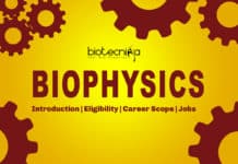 Biophysics: Introduction, Eligibility, Career Scope, Companies Hiring Biophysics: Introduction, Eligibility, Career Scope, Companies Hiring