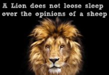 Biotecnika Times – Newsletter 23.07.2019 – ICMR Women Scientist Fellowship, ICMR – DHR