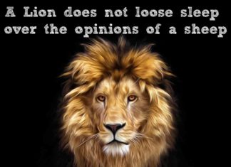 Biotecnika Times – Newsletter 23.07.2019 – ICMR Women Scientist Fellowship, ICMR – DHR