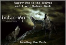 Biotecnika Times – Newsletter 31.07.2019 – Exclusive Govt Jobs @ Dept of Atomic Energy, Coconut