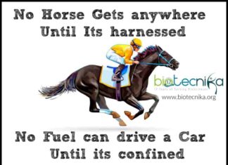 Biotecnika Times – Newsletter 01.07.2019 – CSIR Biotech Job Rs. 90,000 Salary, ICMR Scientists