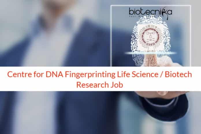 Cdfd Life Science Job Biotech Research Job In Hyderabad