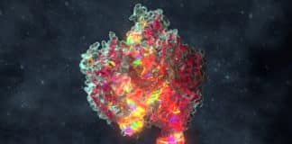 License To CRISPR IP To Be Offered By Merck & Broad Institute