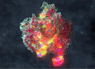 Merck, Broad Institute To Offer Non-Exclusive License To CRISPR IP License To CRISPR IP To Be Offered By Merck & Broad Institute