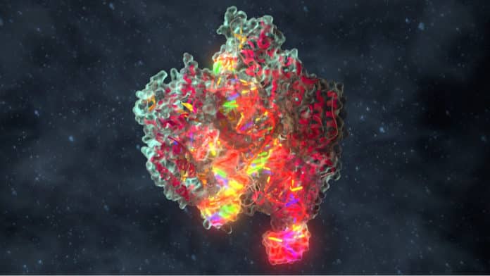 License To CRISPR IP To Be Offered By Merck & Broad Institute