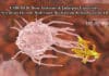 Molecular Mechanism Behind Latent TB Decoded