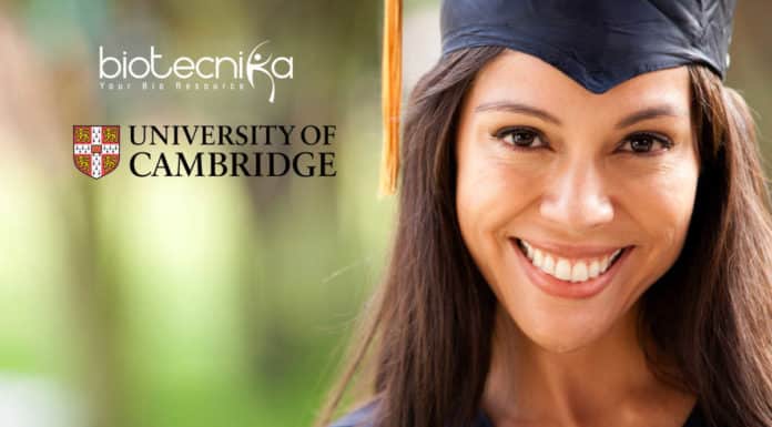Cambridge International Scholarships 2020-21