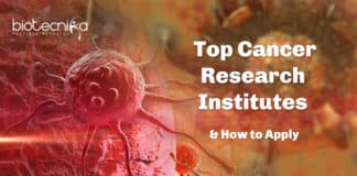 Cancer Biology Research - Top Cancer Research Institutes Where You Can Apply