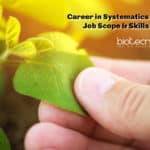 Career in Systematics (Taxonomy) - Research Opportunity, Job Scope & Skills Needed