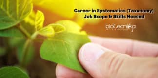 Career in Systematics (Taxonomy) - Research Opportunity, Job Scope & Skills Needed