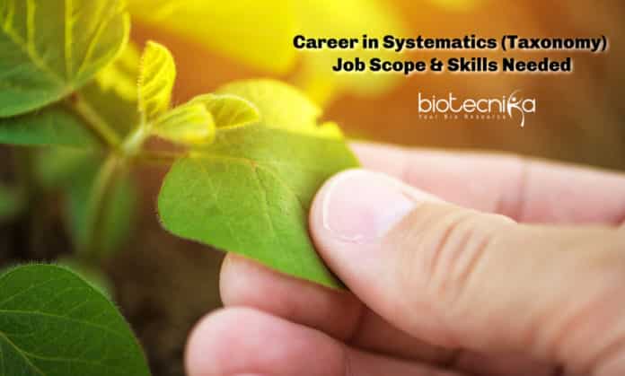 Career in Systematics (Taxonomy) - Research Opportunity, Job Scope & Skills Needed