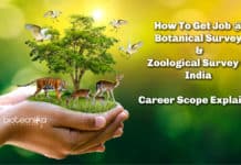 Hoe To Get Job @ Botanical Survey Of India & Zoological Survey of India : Career Scope Explained