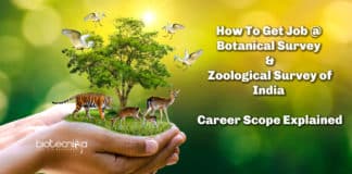 Hoe To Get Job @ Botanical Survey Of India & Zoological Survey of India : Career Scope Explained