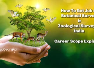 How To Get Job @ Botanical Survey Of India & Zoological Survey of India : Career Scope Explained Hoe To Get Job @ Botanical Survey Of India & Zoological Survey of India : Career Scope Explained