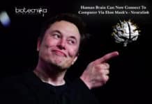 Human Brain Can Now Connect To Computer Via Elon Musk's - Neuralink