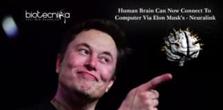 Human Brain Can Now Connect To Computer Via Elon Musk's - Neuralink