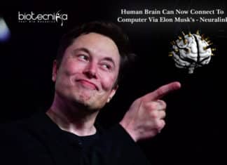 Human Brain Can Now Connect To Computer Via Elon Musk’s – Neuralink Human Brain Can Now Connect To Computer Via Elon Musk's - Neuralink