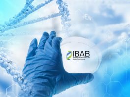 IBAB Hands-on-Workshop