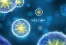 ICGEB Biological Sciences Junior Research Fellow Post Vacant ICGEB Biological Sciences JRF