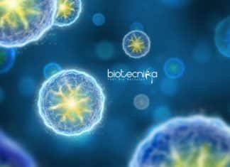 ICGEB Biological Sciences Junior Research Fellow Post Vacant ICGEB Biological Sciences JRF