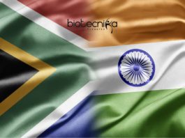 India South Africa Joint