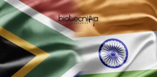 India South Africa Joint