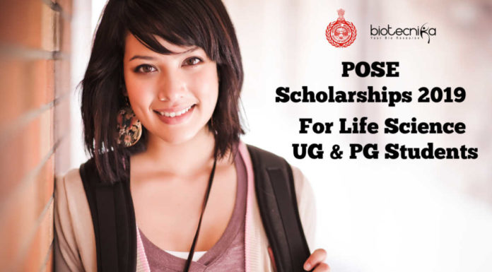 POSE Scholarships 2019