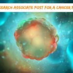 Research Associate Post