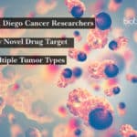UC San Diego Cancer Researchers Identify Novel Drug Target For Multiple Tumor Types