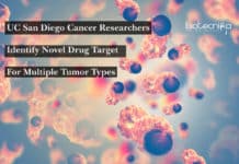 UC San Diego Cancer Researchers Identify Novel Drug Target For Multiple Tumor Types UC San Diego Cancer Researchers Identify Novel Drug Target For Multiple Tumor Types