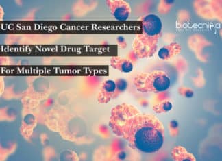 UC San Diego Cancer Researchers Identify Novel Drug Target For Multiple Tumor Types UC San Diego Cancer Researchers Identify Novel Drug Target For Multiple Tumor Types