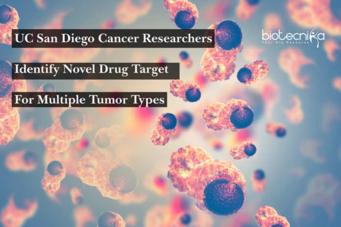 UC San Diego Cancer Researchers Identify Novel Drug Target For Multiple Tumor Types