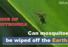 Can Mosquitoes Be Wiped Off The Earth? – Voice Of Biotecnika