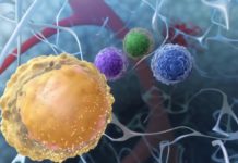 Latest Blood Cancer Research Updates – Voice of Biotecnika